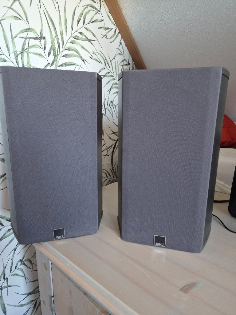 DALI Suite 0.7 SE Rear Speakers, Ophalen, Gebruikt, Overige typen, 60 tot 120 watt