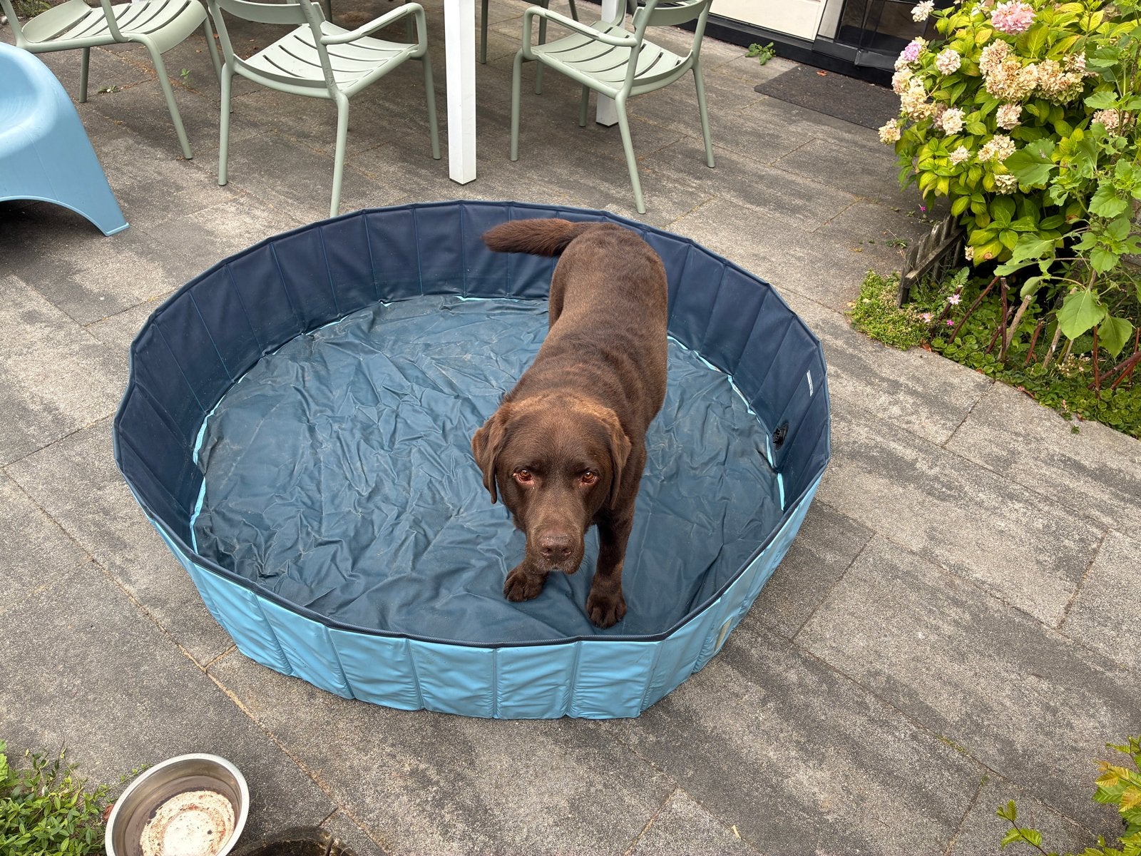 Honden zwembad 150cm, Ophalen, Zo goed als nieuw