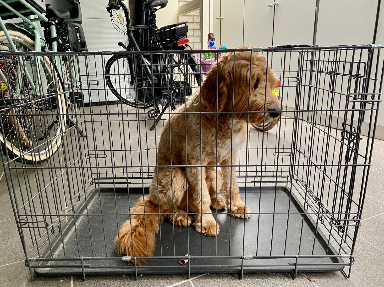 Bench 90x57x64 middelgrote hond, Ophalen, Zo goed als nieuw