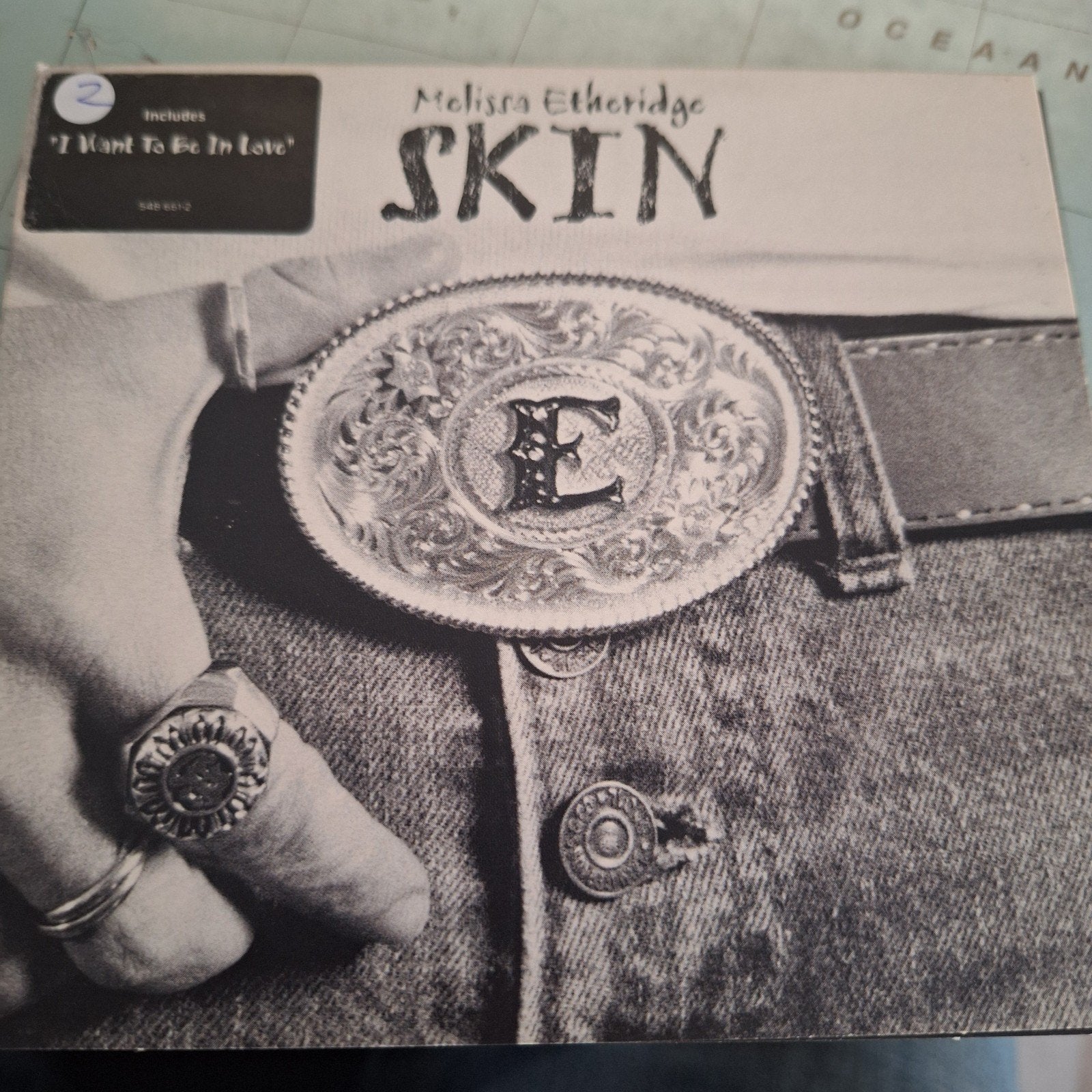 Melissa Etheridge - Skin CD (Pop/Rock), Ophalen of Verzenden, Gebruikt, Album