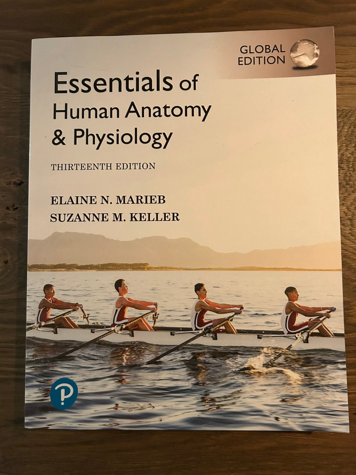 Studie boeken Fysiotherapie, Ophalen of Verzenden, Beta, Zo goed als nieuw, HBO