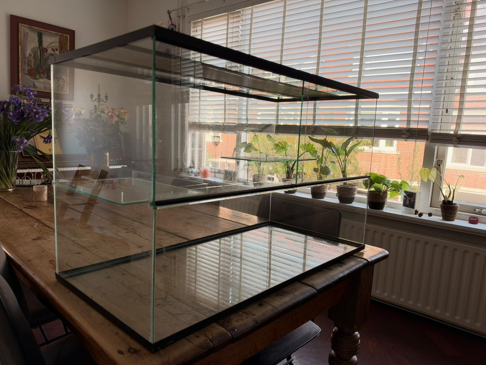 Puntgaaf glazen terrarium 78 x 48 x 37,5 cm, Dieren en Toebehoren, Ophalen, Zo goed als nieuw