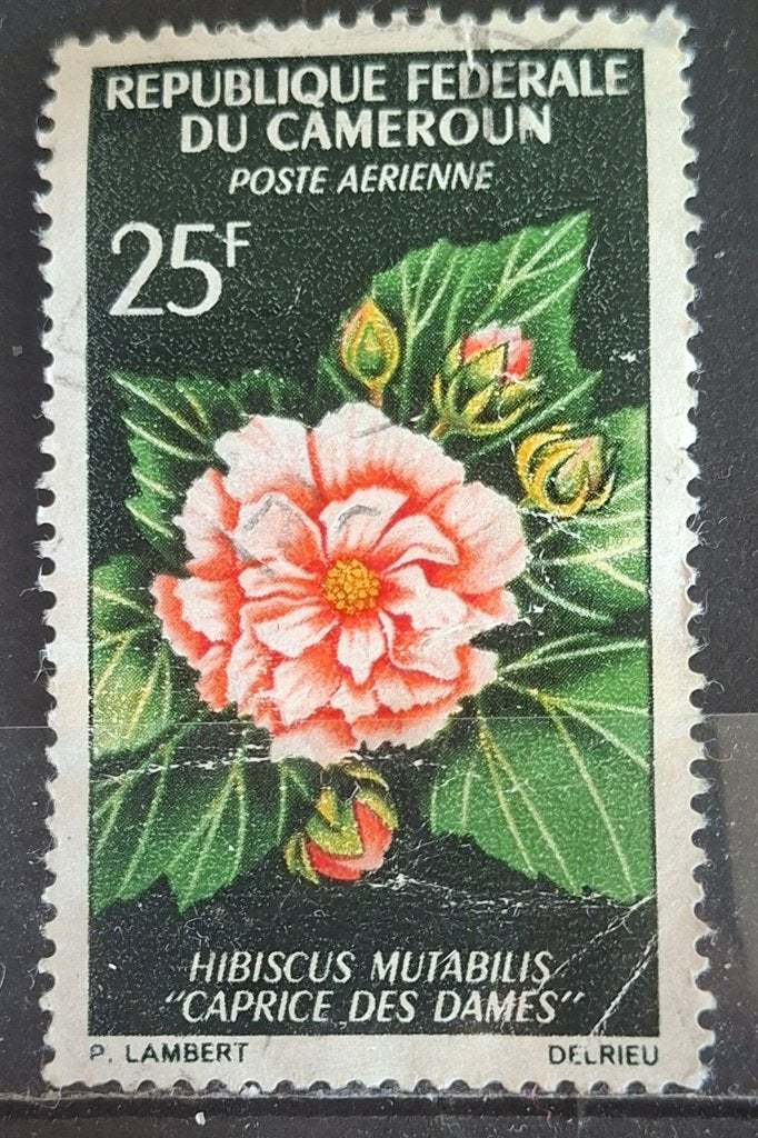 Kameroen Postzegel (B3-P27), Ophalen of Verzenden, Overige landen, Gestempeld