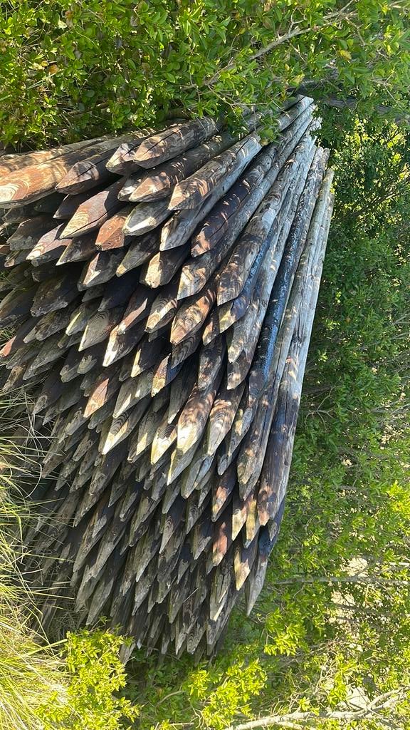 Houten Palen, Ophalen of Verzenden, Gebruikt, Hout, Tuinhek