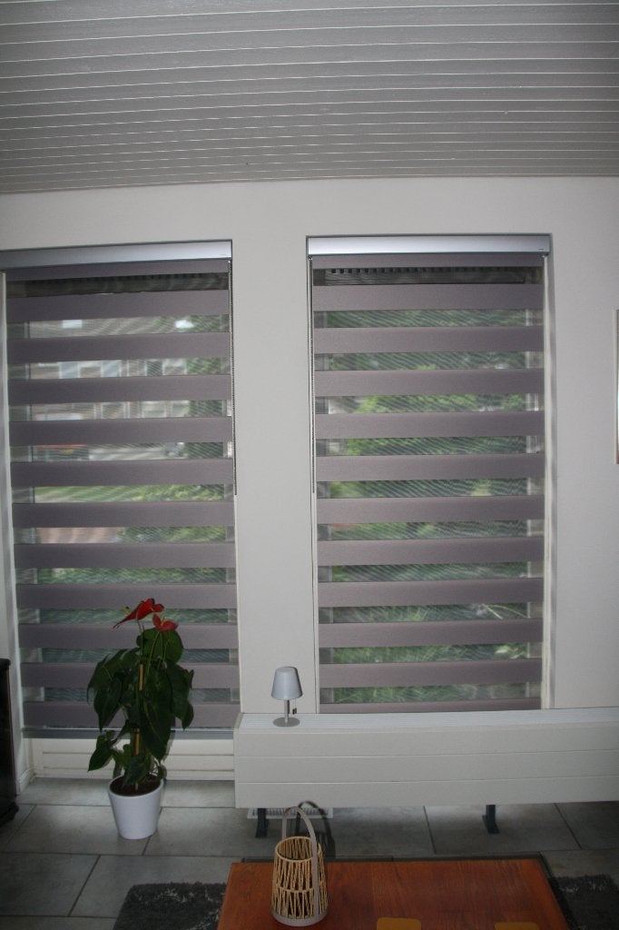 raamdecoratie, Ophalen, Verduisterend, Duo rolgordijn, Rolgordijn