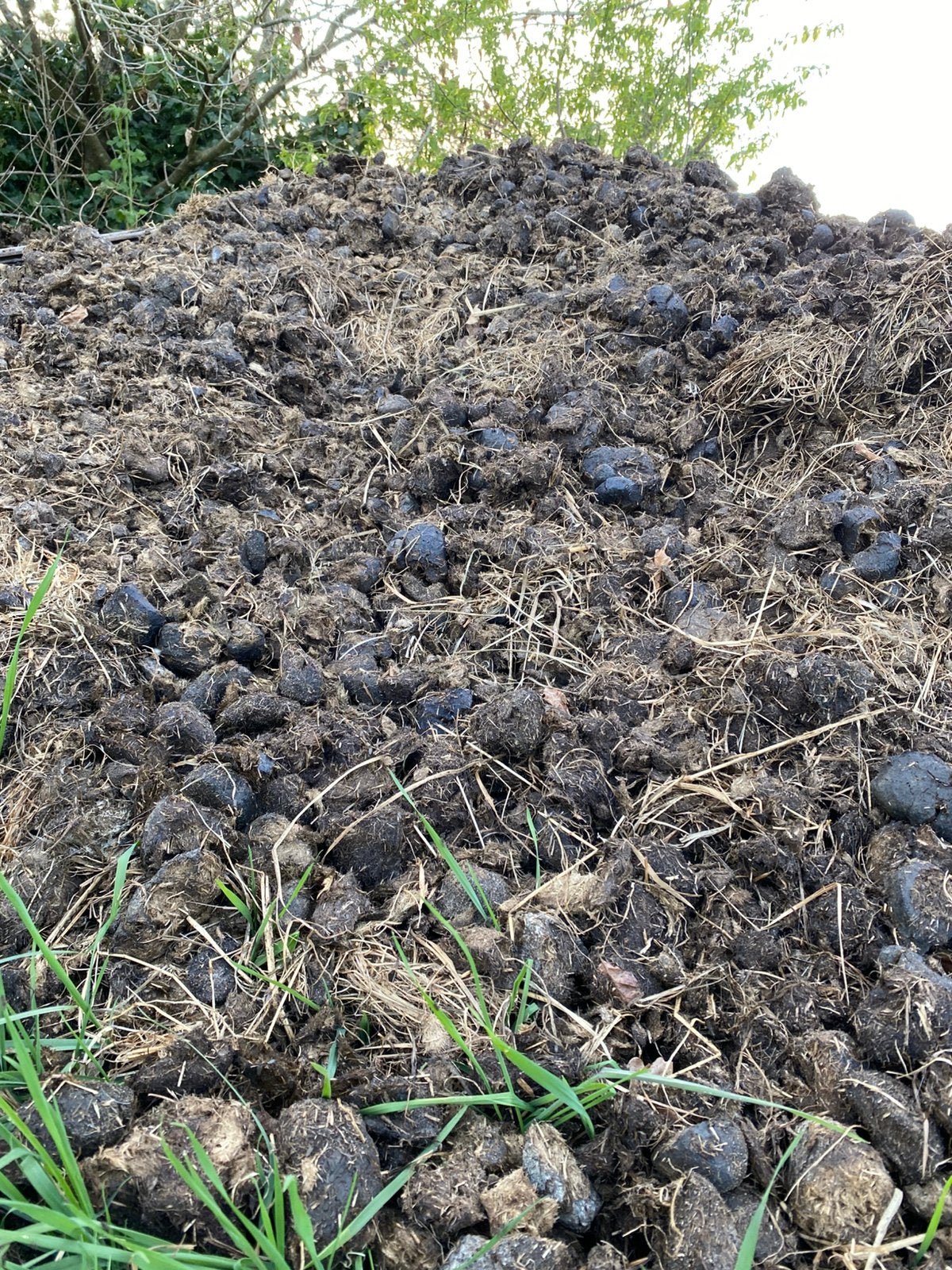 Paardenmest voor tuin, moestuin, rozen. Goed bereikbaar!, Tuin en Terras, Ophalen