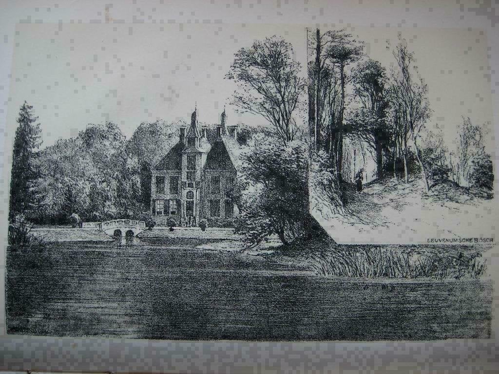 116 / Leuvenumsebos / Essenburg /  Litho 1876, Ophalen of Verzenden