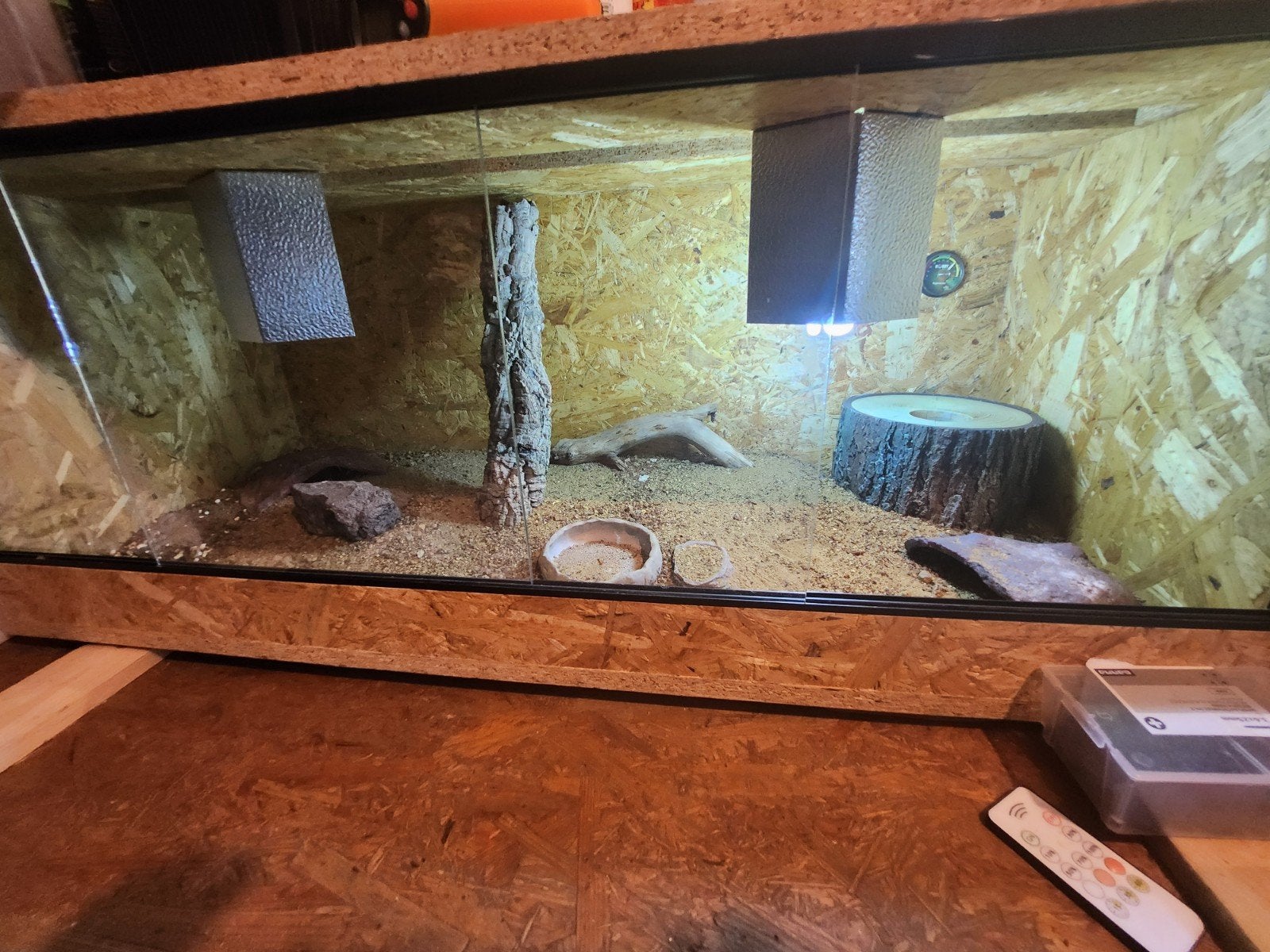 luipaard Gekko Leopard Gecko photo 4