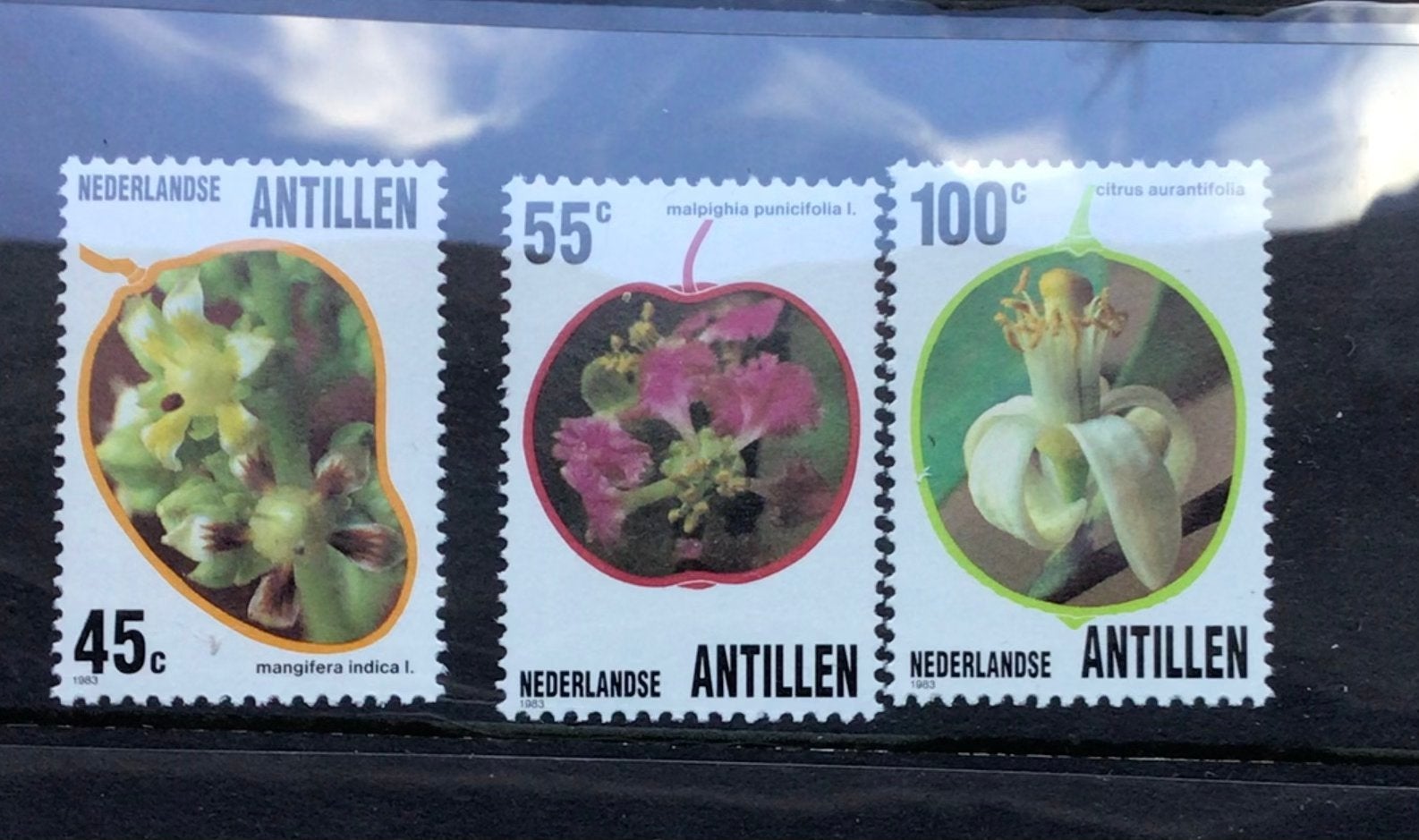 Te koop ned Antillen nvph nr 747/749 postfris, Postzegels en Munten, Ophalen of Verzenden, Postfris