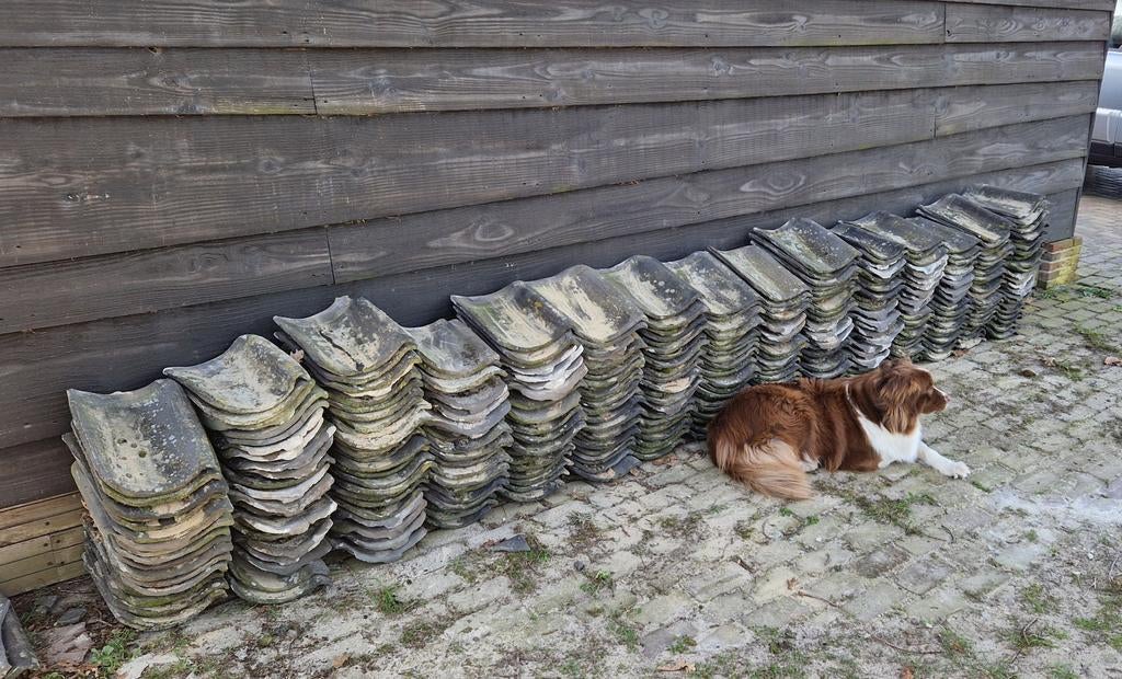 Oude Hollandse dakpannen - Authentiek 300 stuks, Gebruikt, Steen of Klei, Ophalen of Verzenden, 15 m² of meer