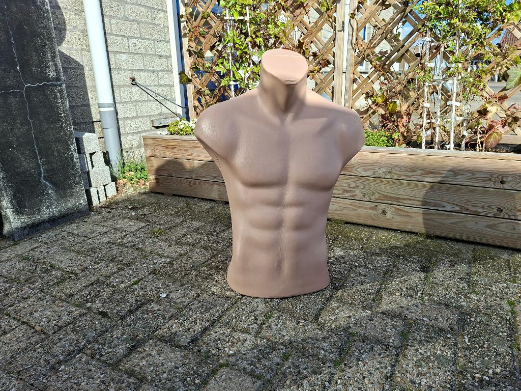 schitterende grote mannen torso boven lijf, Ophalen of Verzenden, Zo goed als nieuw, Mens