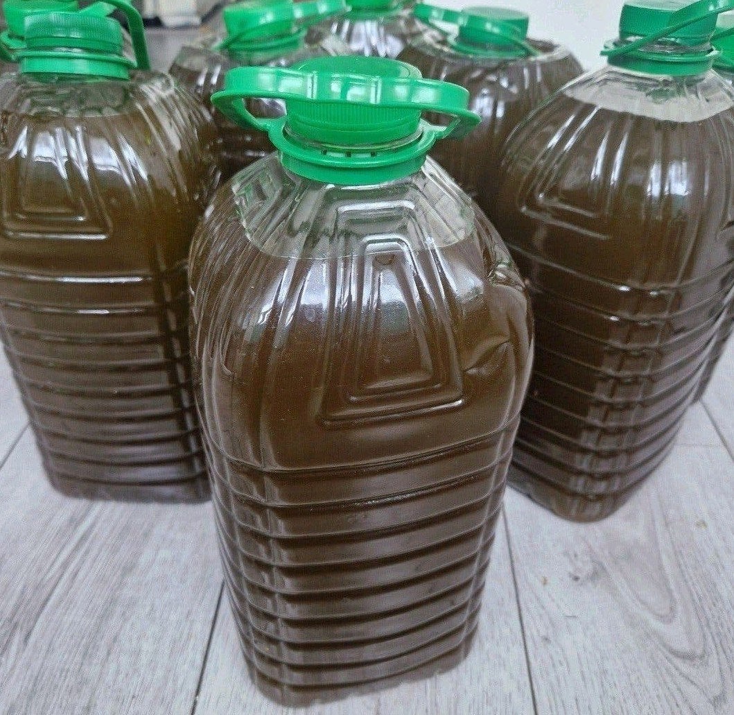 Puur Olijfolie Te Koop  Direct van de Eigen Oogst 🇲🇦🫒, Ophalen of Verzenden