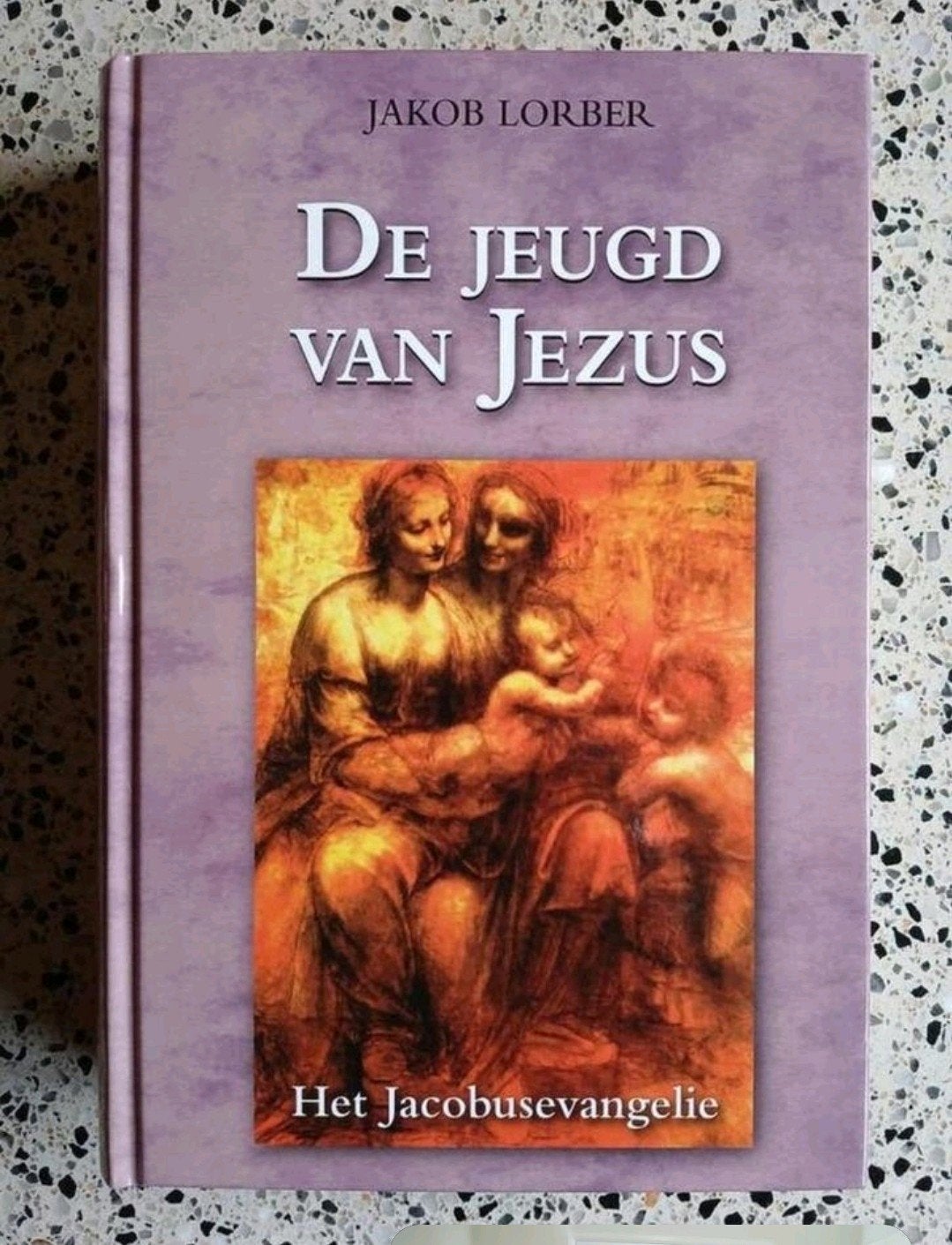 De Jeugd van Jezus - Jacob Lorber Nieuwstaat vaste prijs, Ophalen of Verzenden, Zo goed als nieuw, Jakob Lorber, Christendom | Katholiek