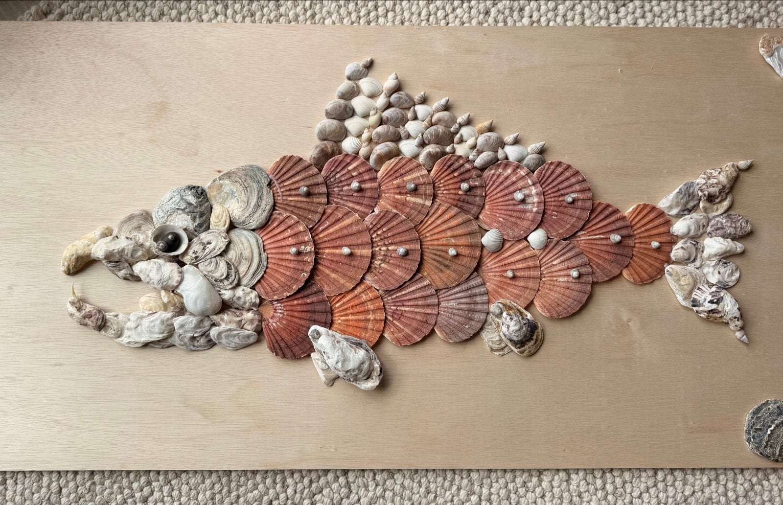 Uniek handgemaakt vissenkunstwerk van schelpen, Ophalen
