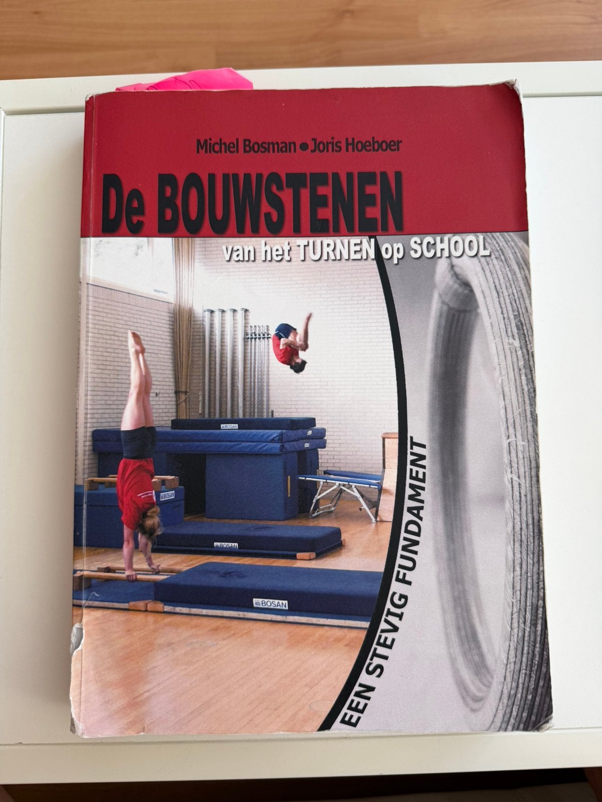 De bouwstenen van het turnen op school, Ophalen of Verzenden, Zo goed als nieuw, Overige niveaus, Nederlands