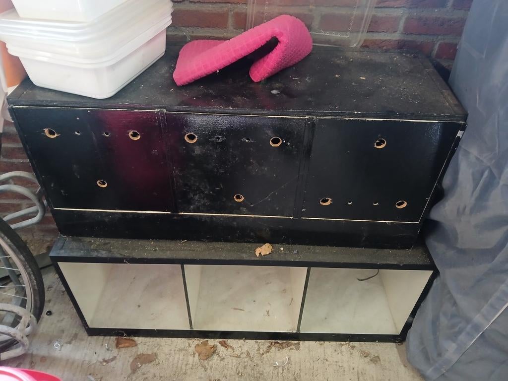 Warmte kasten  voor reptielen bieden, Dieren en Toebehoren, Ophalen