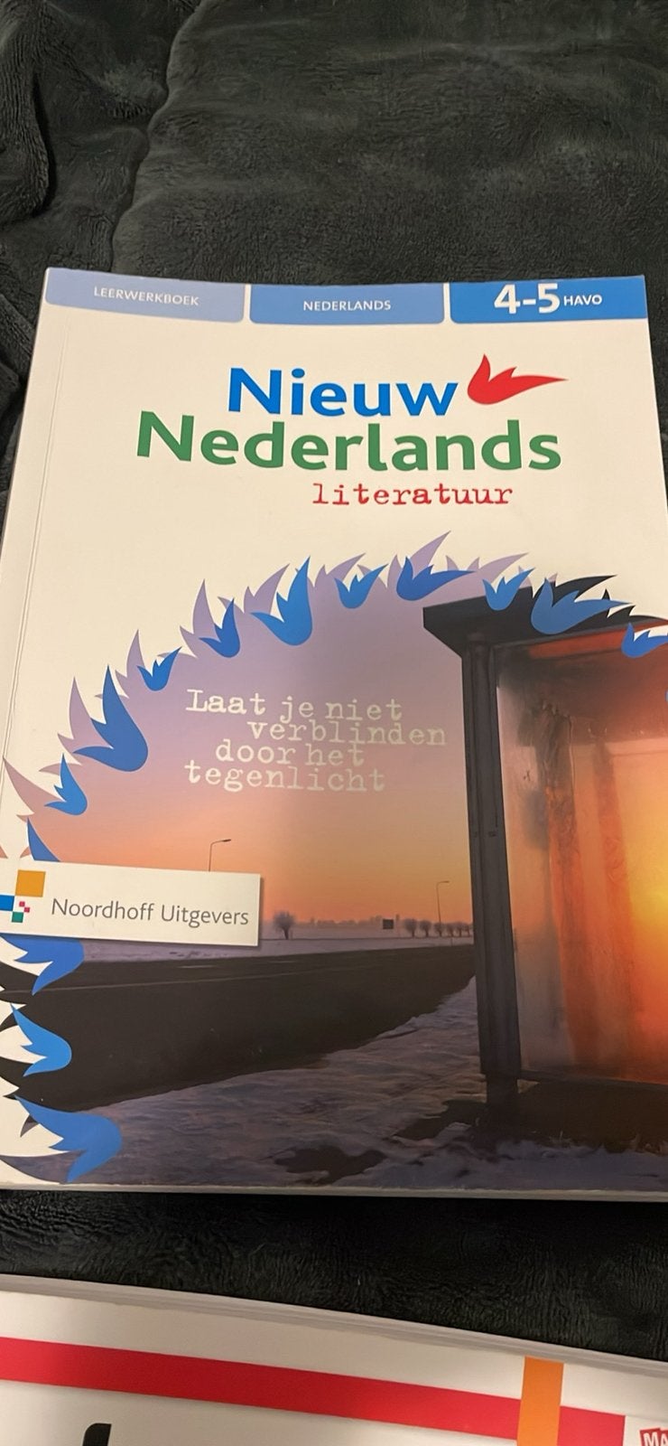 Nederlands boeken voor Havo 4/5, Boeken, Ophalen of Verzenden, Zo goed als nieuw, HAVO, Nederlands