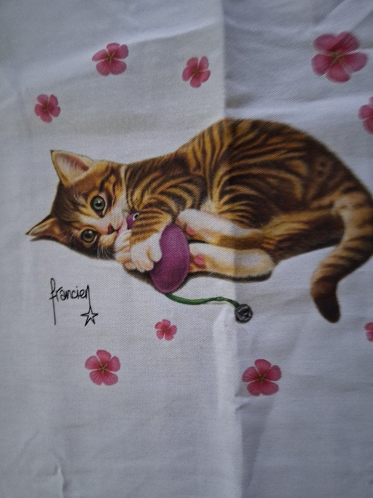 grappige schort met grote poes (Francien), Overige merken, Wit, Ophalen of Verzenden, Schort