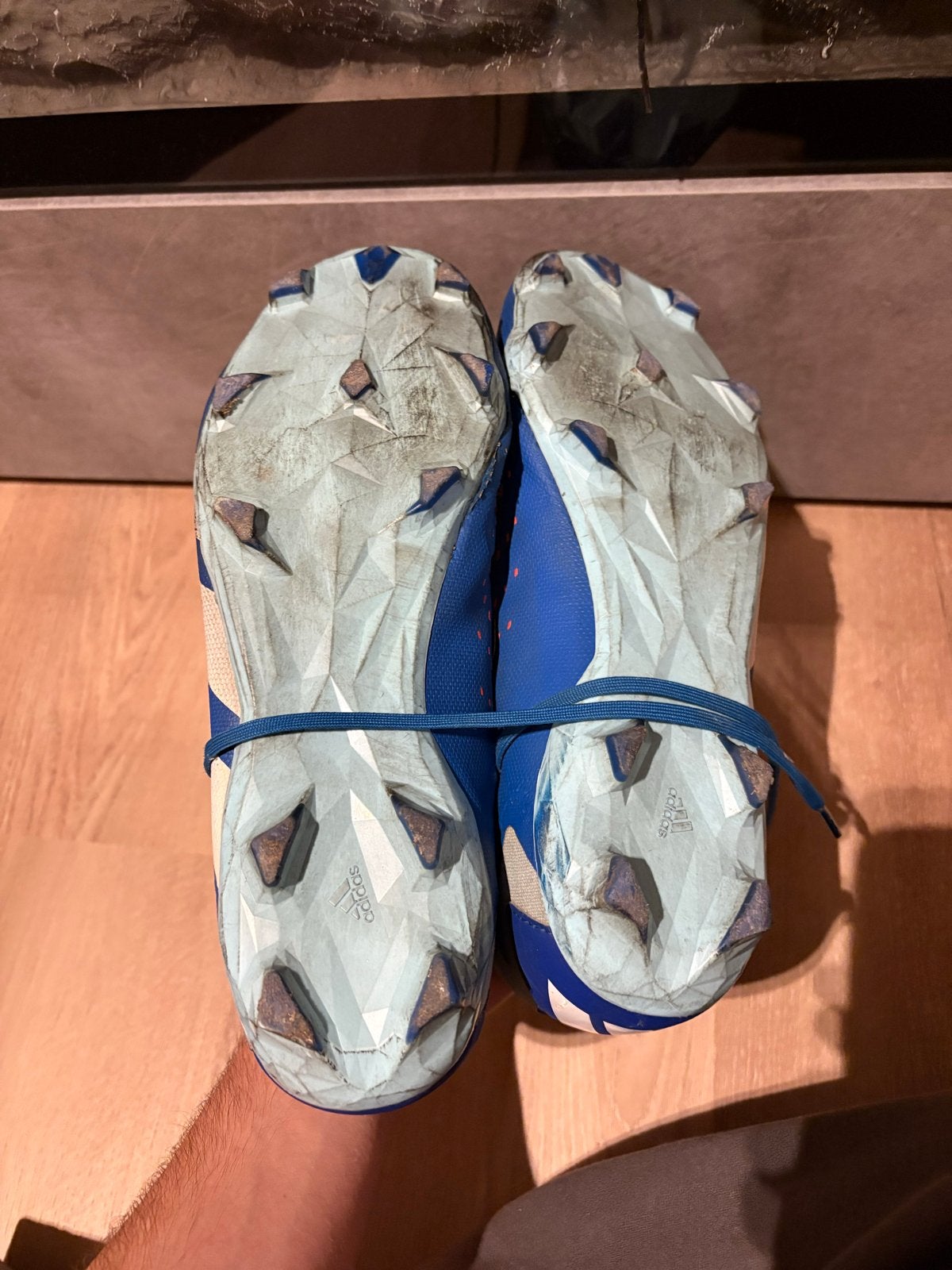 Adidas Predator voetbalschoenen - Blauw maat 43, Ophalen of Verzenden, Gebruikt, Schoenen