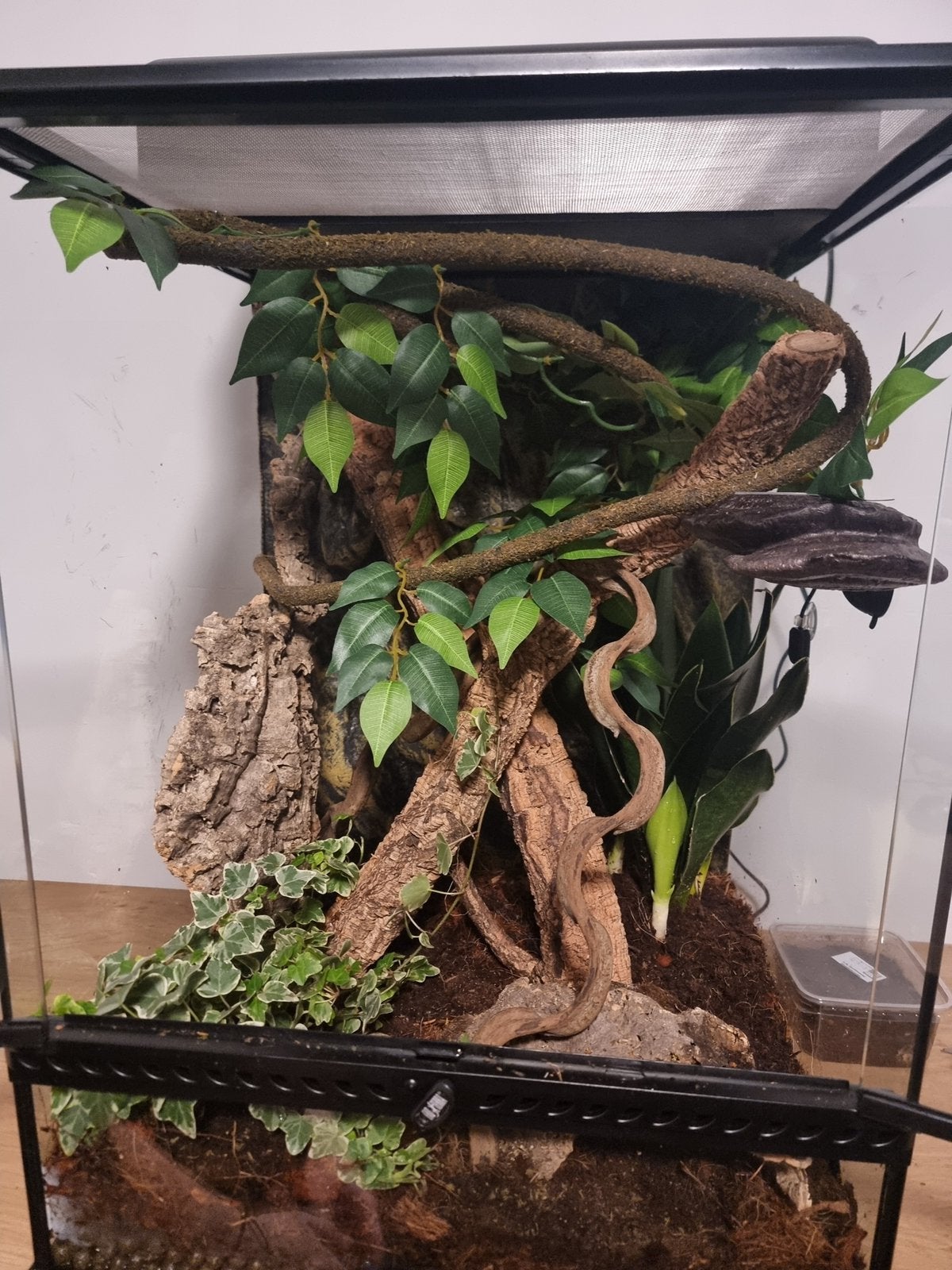 Terrarium, Ophalen of Verzenden, Zo goed als nieuw