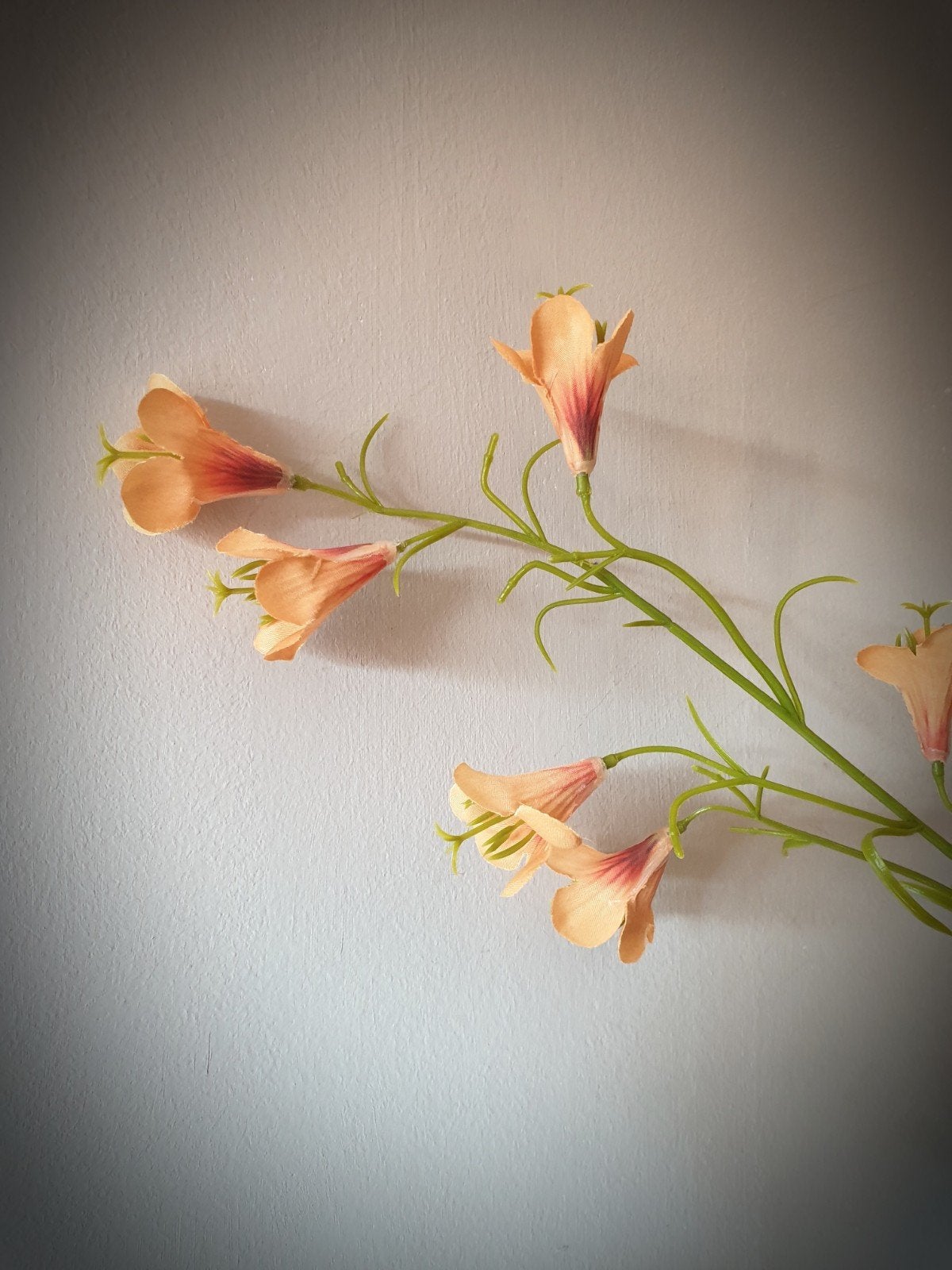 Mini petunia oranje/geel zijde - zijdenbloem  - bloemen, Ophalen of Verzenden, Nieuw, Kunstbloem, 72 cm