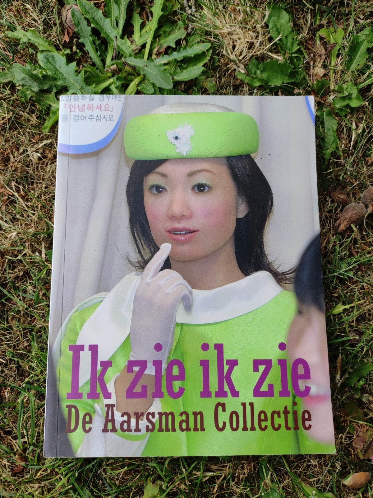 H. Aarsman - Ik zie ik zie, Boeken, Gelezen, Ophalen of Verzenden, Nederland, H. Aarsman