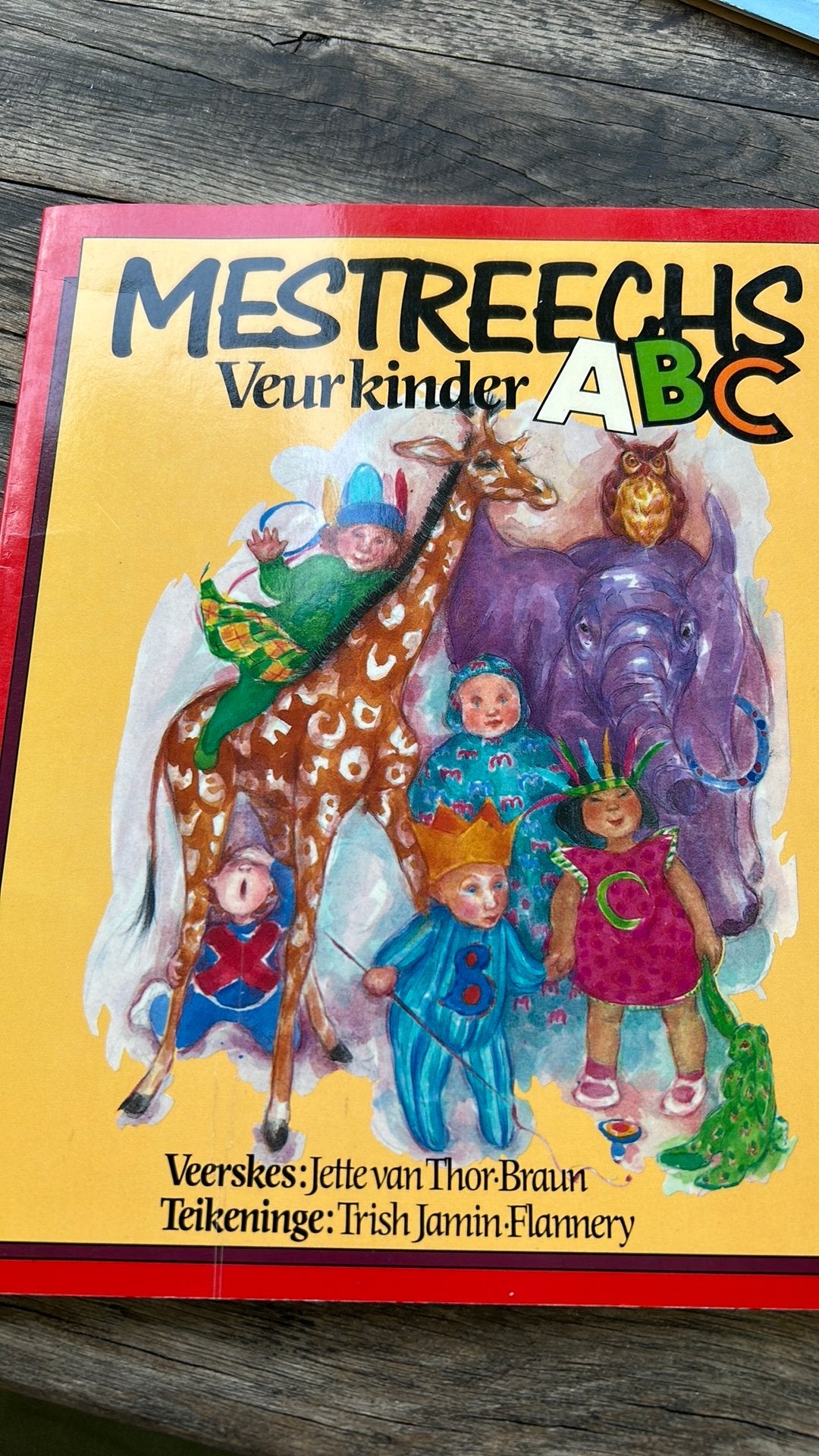 Mestreechs ABC veur kinder Jette van Thor-Braun, Ophalen of Verzenden, Zo goed als nieuw