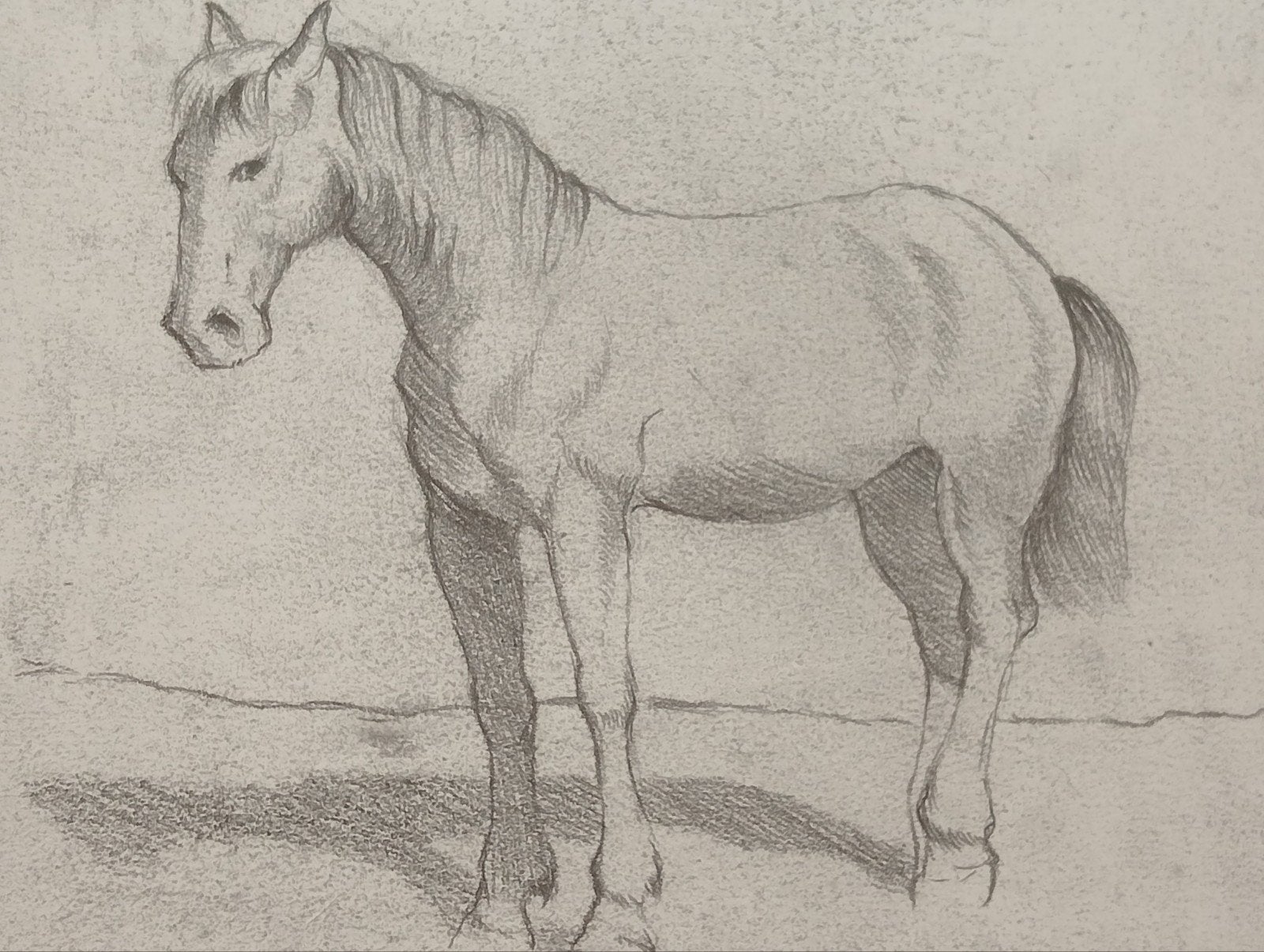 Prent paard, Ophalen of Verzenden, Voor 1940, Zo goed als nieuw