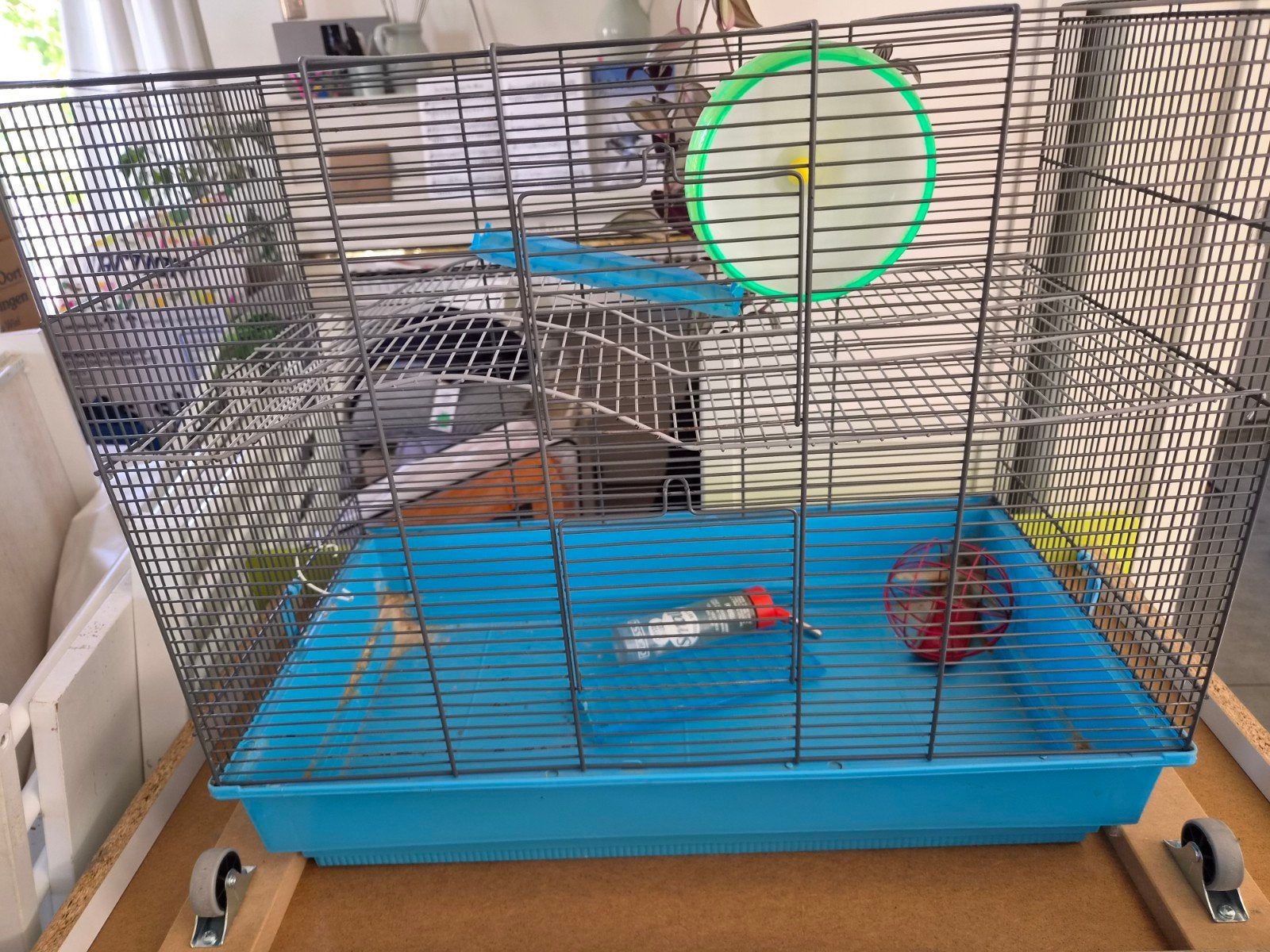 hamsterkooi met toebehoren, Dieren en Toebehoren, Kooi, Gebruikt, Minder dan 75 cm, Ophalen
