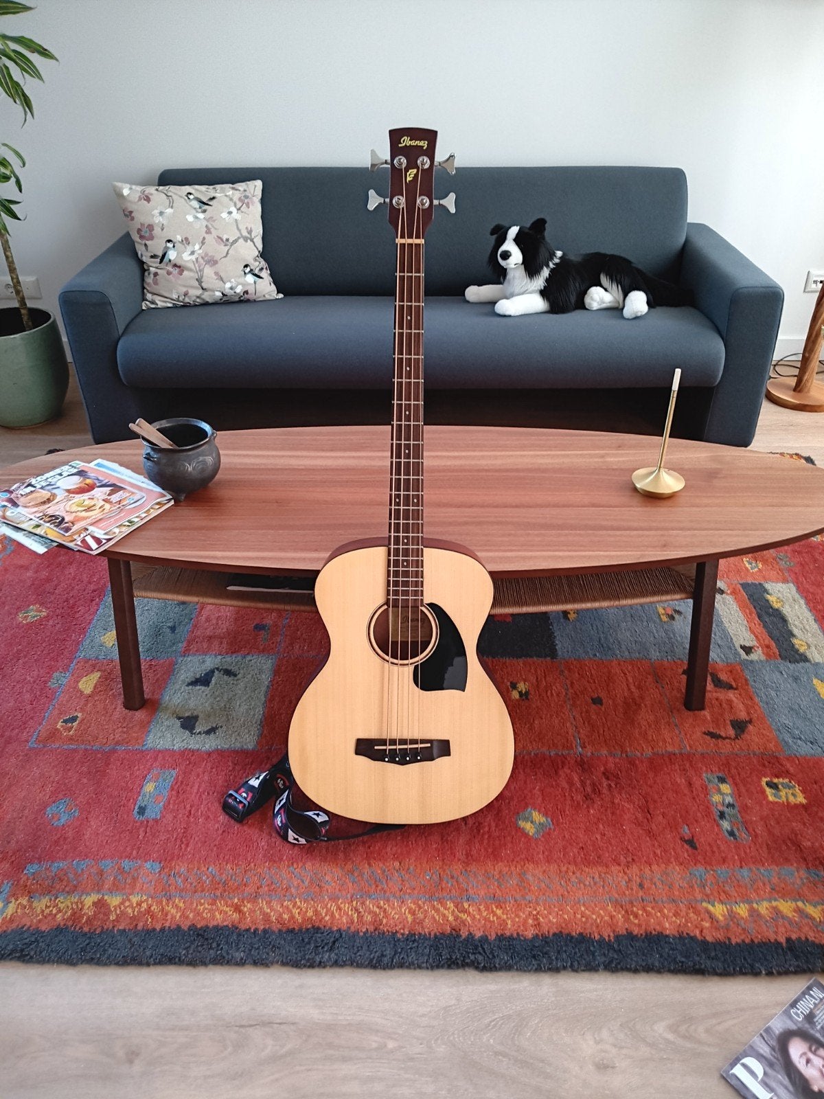 Ibanez akoestisch-elektrische basgitaar met ingebouwde tuner, Ophalen, Zo goed als nieuw, Klassieke of Spaanse gitaar