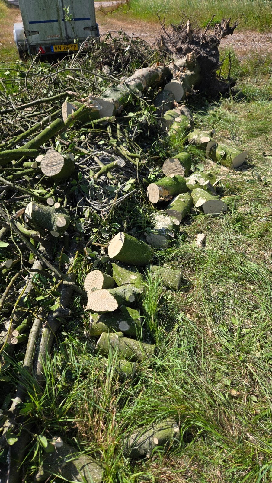 haardhout, Tuin en Terras, Haardhout, 3 tot 6 m³, Ophalen, Overige houtsoorten