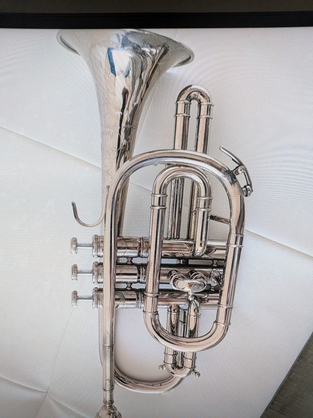 Leuke trompet zoe foto s, Ophalen of Verzenden, Euphonium of Tenortuba