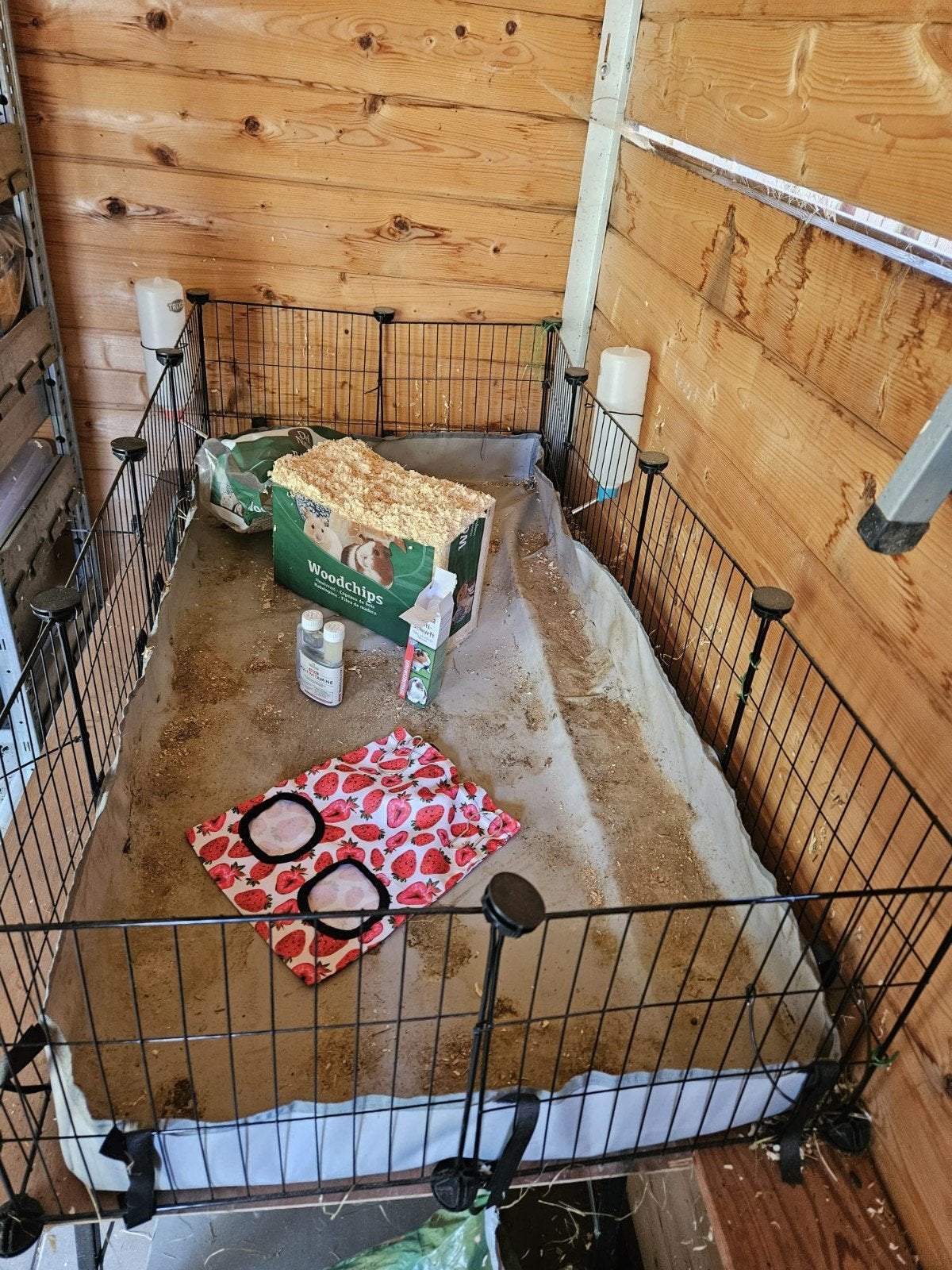 Hok voor cavia's/hamsters met allerlei toebehoren, Dieren en Toebehoren, Knaagdieren en Konijnen | Hokken en Kooien, Gebruikt