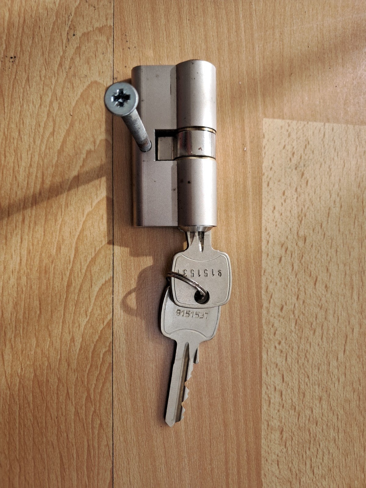 Cylinderslot, Ophalen of Verzenden, Rvs, Slot