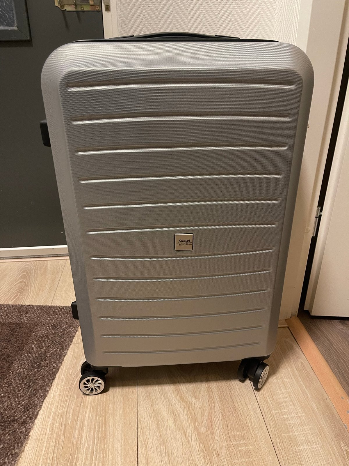 Nieuwe zilverkleurige koffer met slot en wieltjes, Sieraden, Tassen en Uiterlijk, Hard kunststof, 35 tot 45 cm, Ophalen, 60 tot 70 cm
