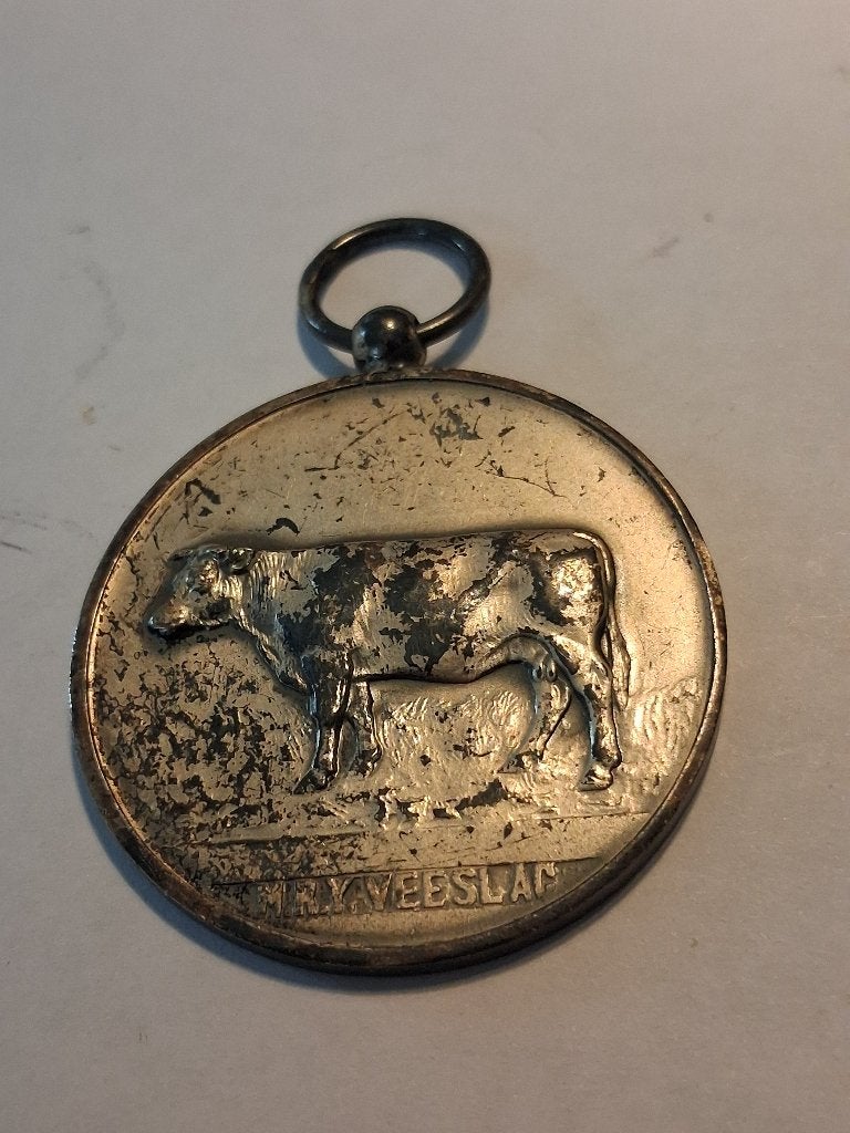 Te koop: Helaminto medaille uit 1949 (10), Postzegels en Munten, Penningen en Medailles, Ophalen, Overige materialen, Nederland