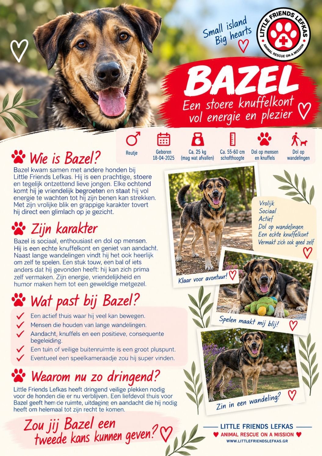 FOSTERGEZIN GEZOCHT VOOR BAZEL, Starter, Overige vormen, Overige uren, LBO / VMBO