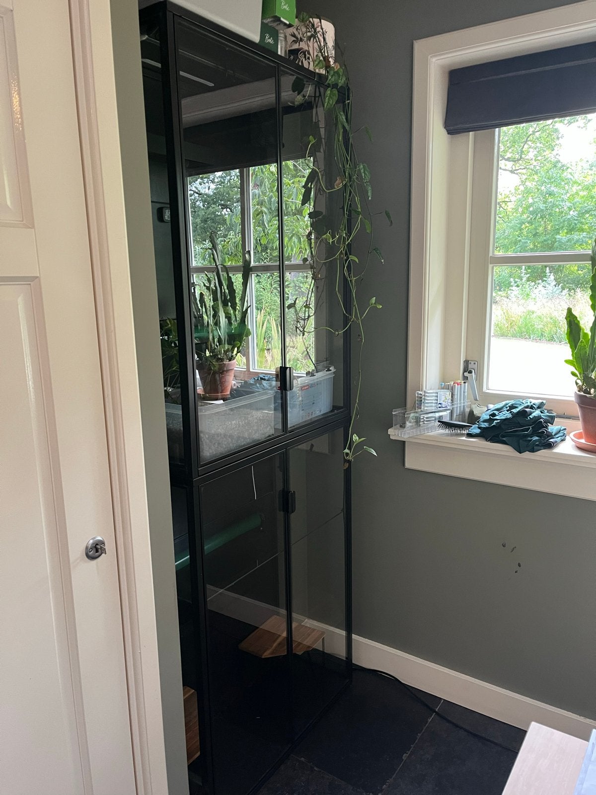 IKEA Rudsta Vitrinekast Greenhouse - Compleet met accessoire, Huis en Inrichting, Ophalen, Gebruikt, 200 cm of meer, 50 tot 100 cm