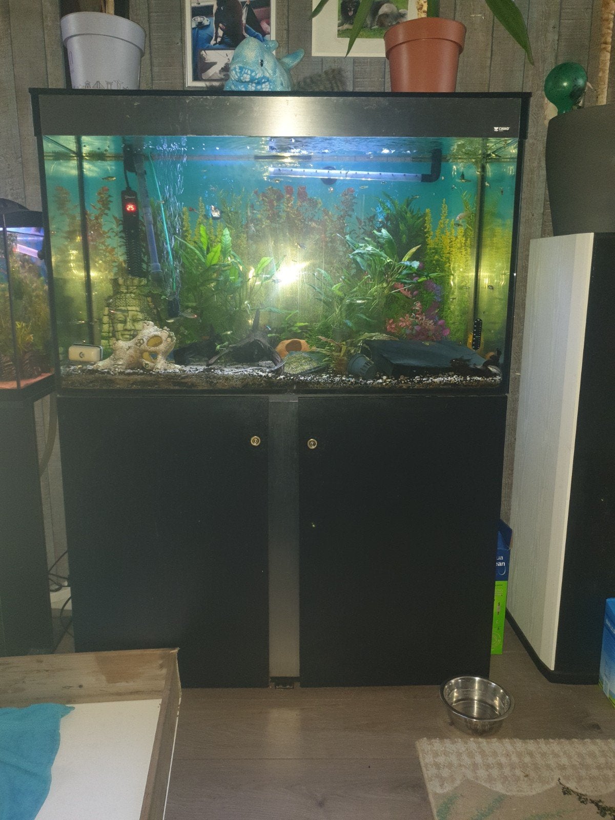 ciano aquarium compleet, Ophalen of Verzenden, Zo goed als nieuw, Gevuld zoetwateraquarium