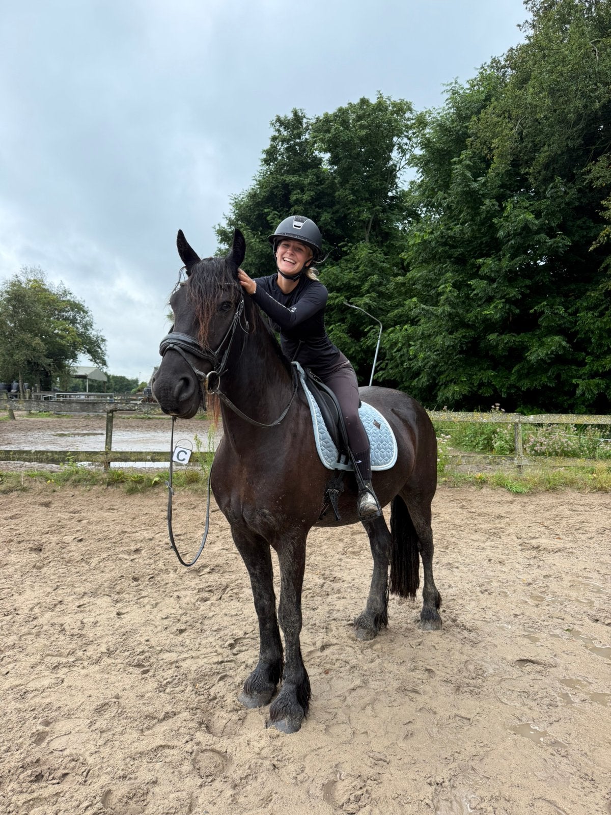 Ruiter aangeboden inrijden/zadelmak, Dieren en Toebehoren, Paarden, Merrie, Zadelmak, 3 tot 6 jaar
