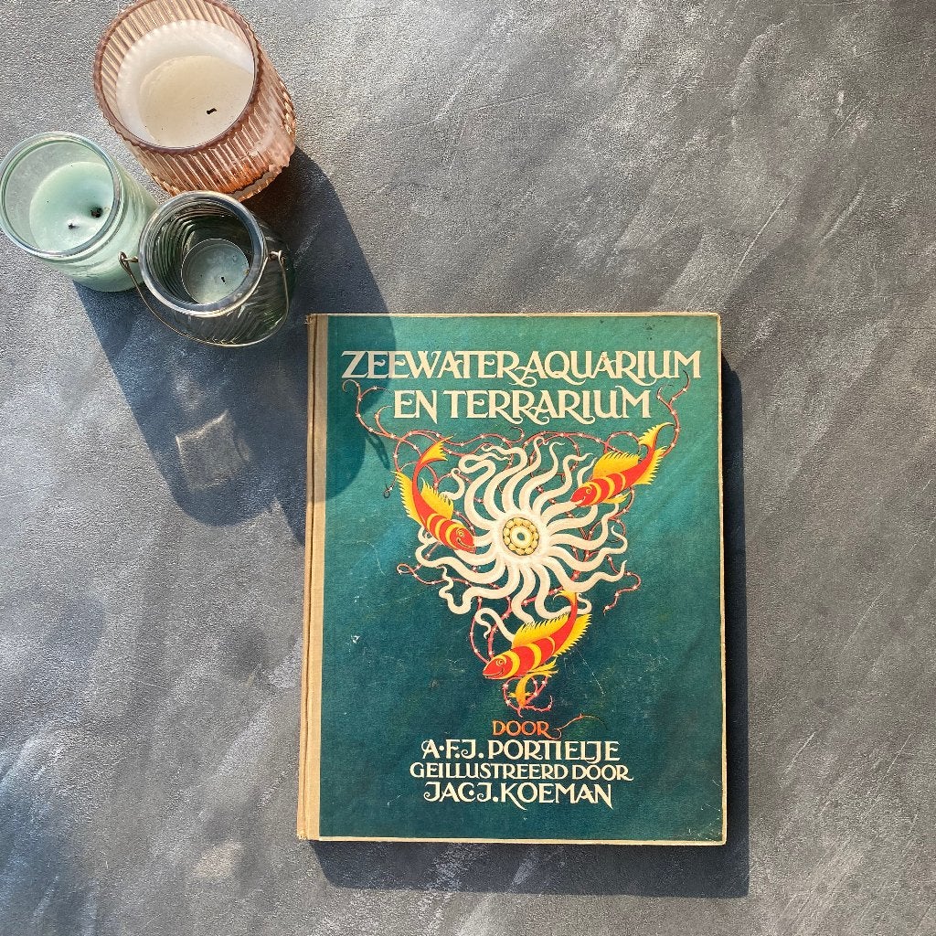 Verkade Album - Zeewater Aquarium (J.J. Koeman), Boeken, Ophalen of Verzenden, Gelezen, Jac. J. Koeman, Plaatjesalbum