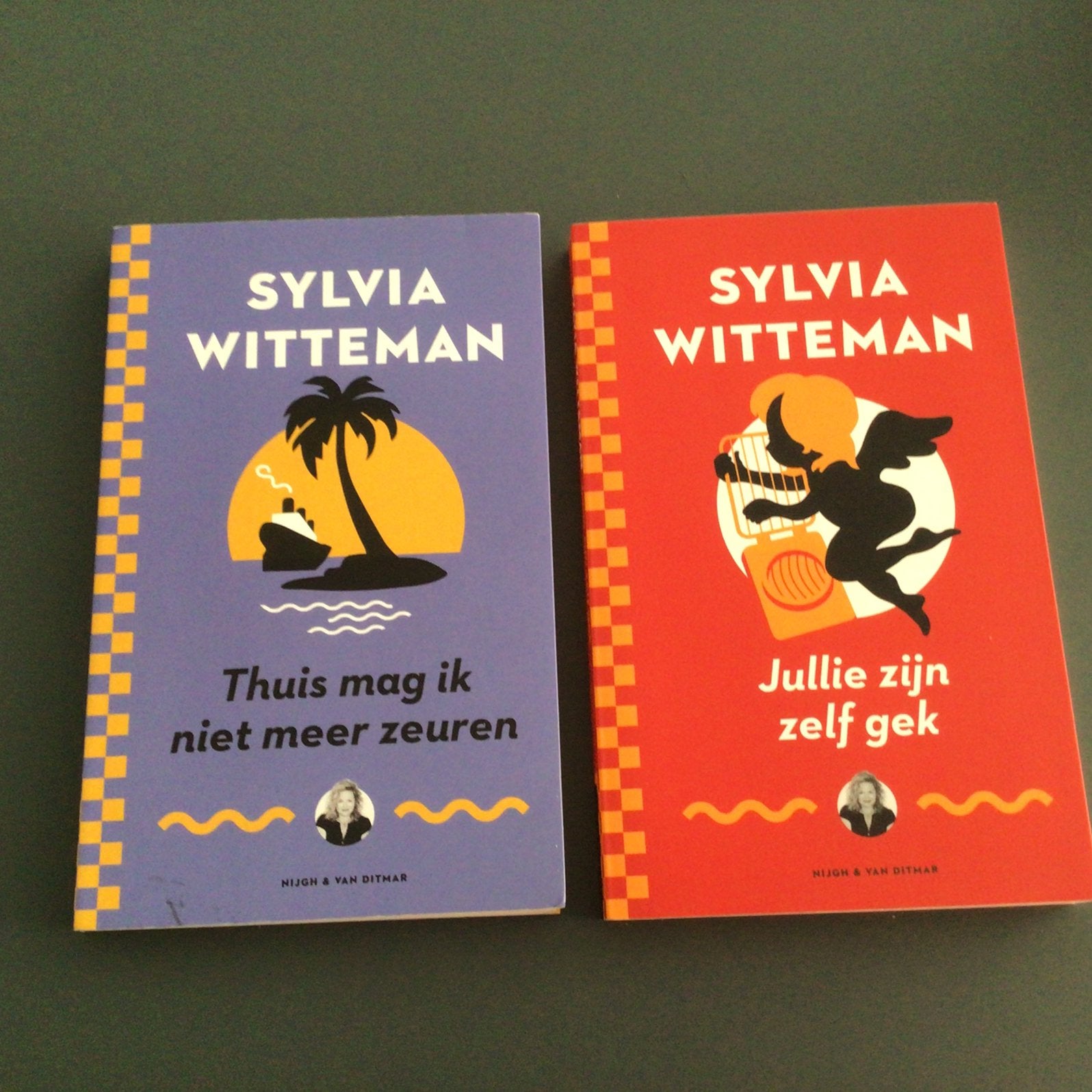 2 x Sylvia Witteman, Ophalen of Verzenden, Zo goed als nieuw, Verhalen