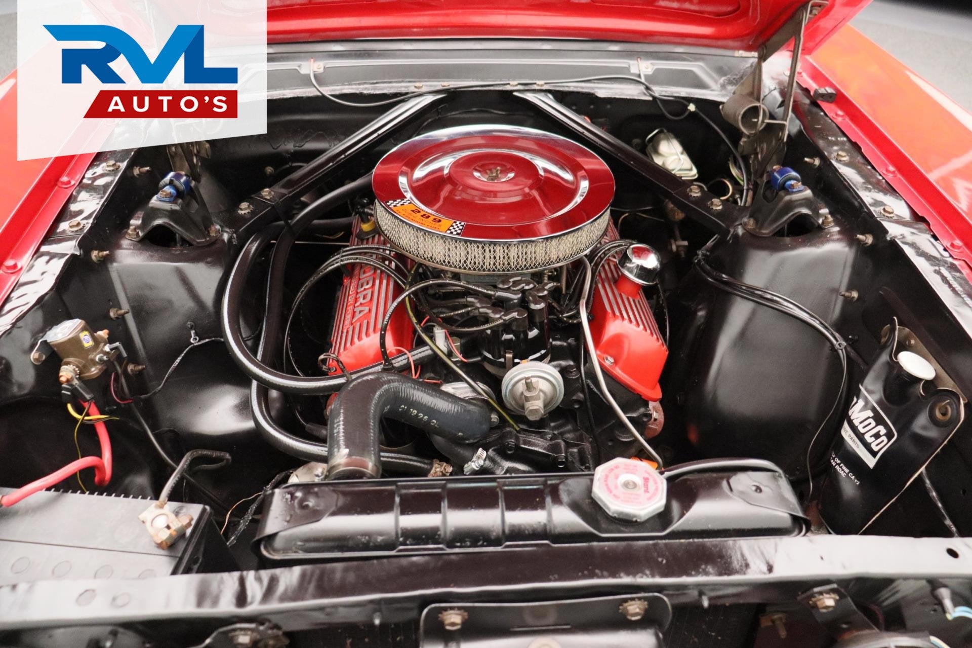 Ford USA Mustang 289 CI 1965 Fastback C-Code *Gerestaureerd*, foto 12