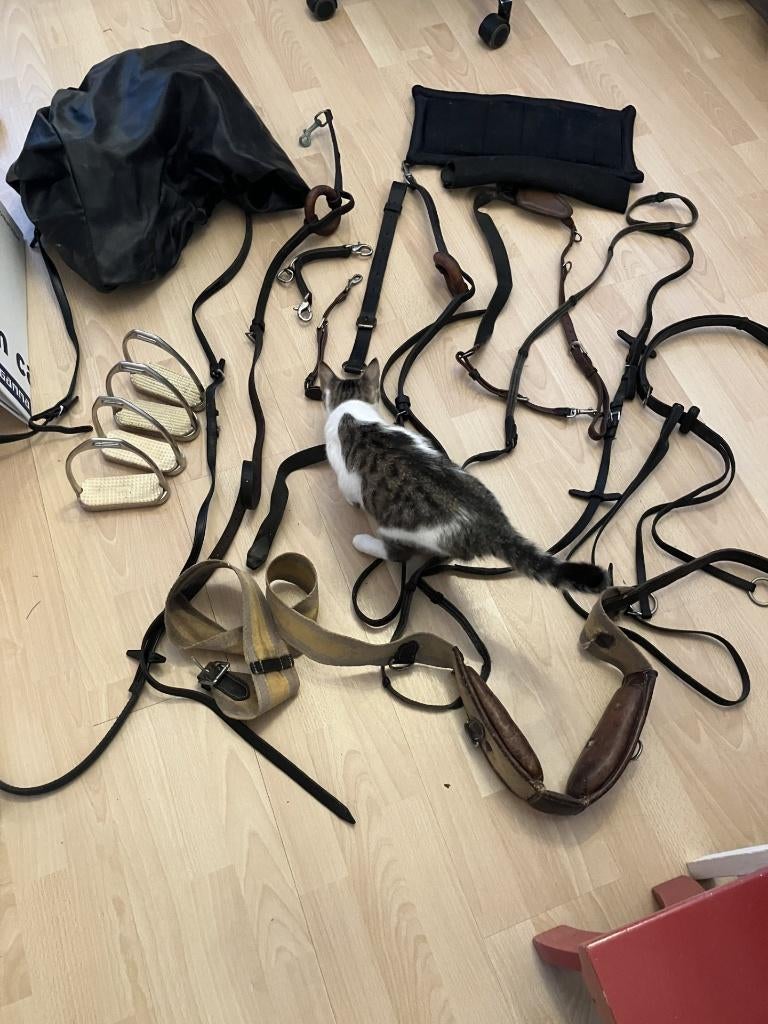 Paarden teugel en zadelhoes, Ophalen, Gebruikt, Overige soorten