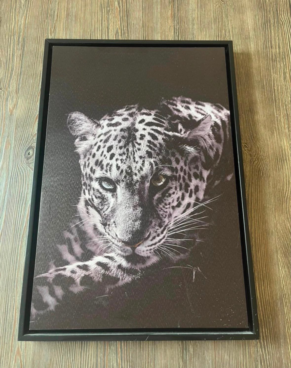 Panter canvas/schilderij ‼️GRATIS‼️‼️, Ophalen, Minder dan 50 cm, Gebruikt, 50 tot 75 cm