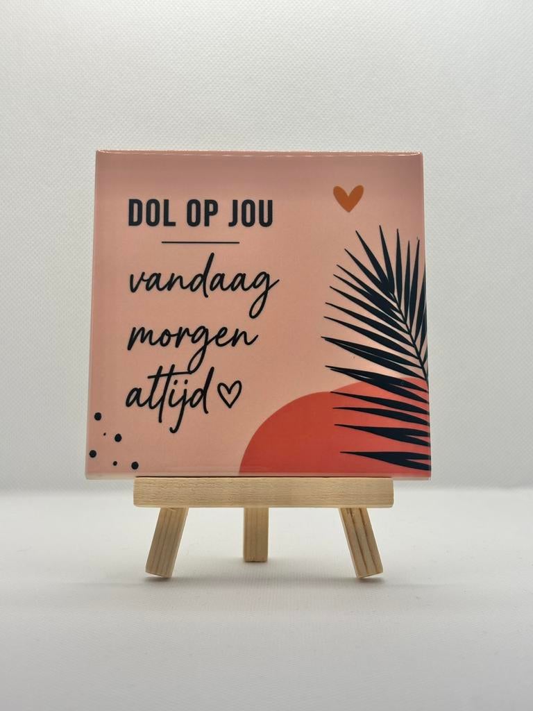Leuke decoratie tegeltjes, Ophalen of Verzenden, Nieuw
