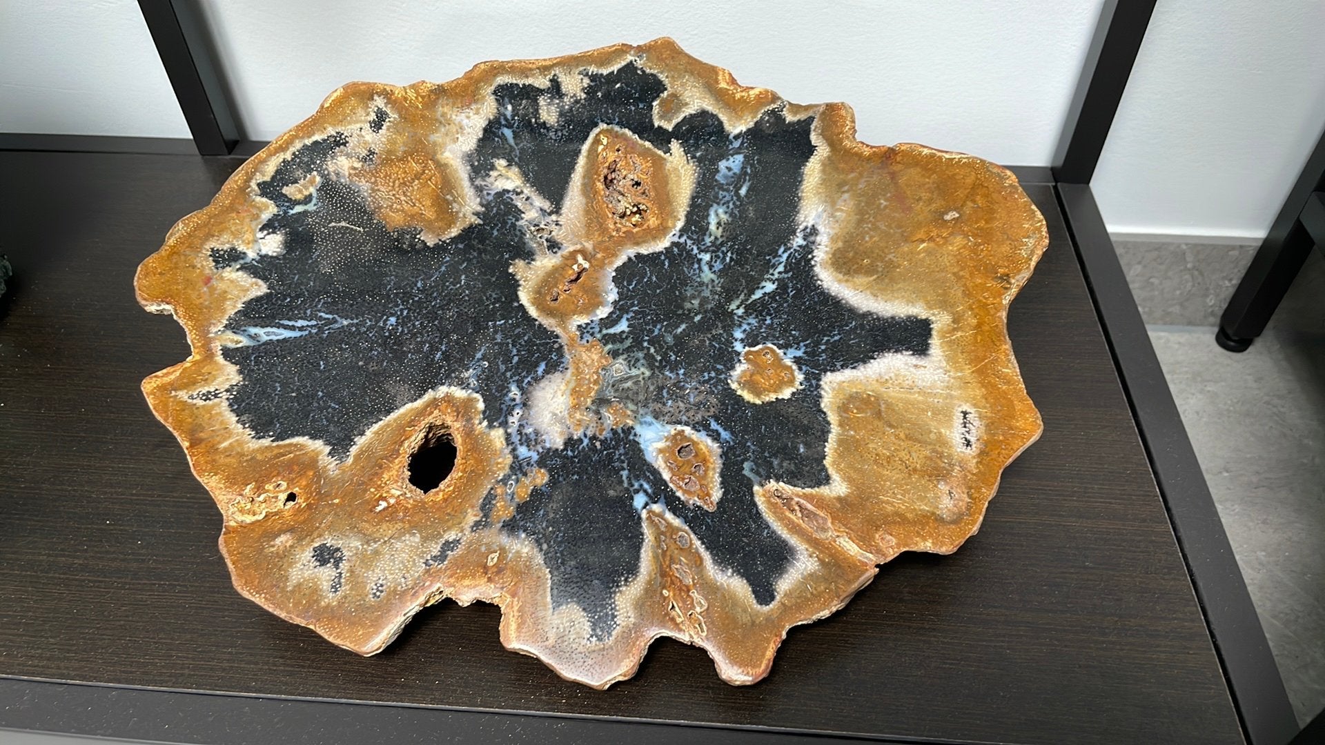 Versteend Hout 37 cm breed, Ophalen of Verzenden