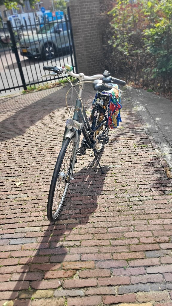 Damersfiets, Fietsen en Brommers, Ophalen, Gebruikt, Versnellingen, Giant