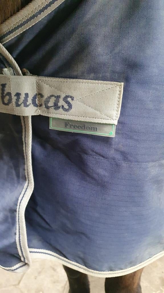 Bucas freedom 7.0, Dieren en Toebehoren, Ophalen of Verzenden