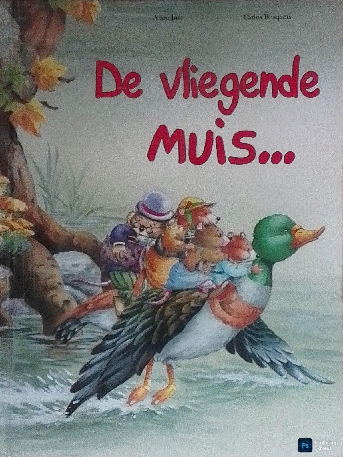 De Vliegende Muis..., Gelezen, 5 of 6 jaar, Fictie algemeen, Jongen of Meisje